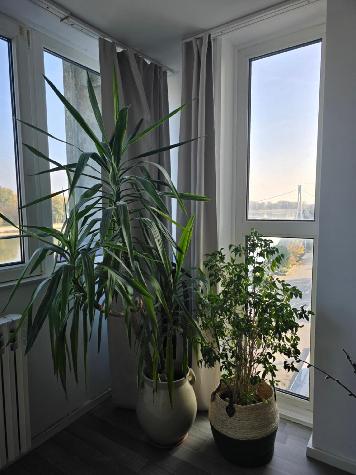 Riverview Apartment Osijek Luaran gambar